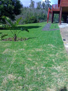 Ferienhaus in Great Brak Heights (Western Cape) oder Ferienwohnung oder Ferienhaus