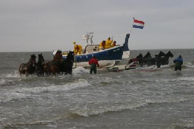 Ferienwohnung in Buren (Friesland) oder Ferienwohnung oder Ferienhaus