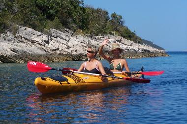 Ferienhaus in Maslinica (Splitsko-Dalmatinska) oder Ferienwohnung oder Ferienhaus