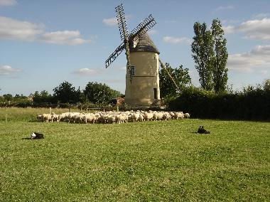 Ferienhaus in St Cyr Des Gats (Vend�e) oder Ferienwohnung oder Ferienhaus