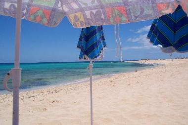 Ferienwohnung in El Cotillo (Fuerteventura) oder Ferienwohnung oder Ferienhaus