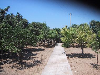 Ferienhaus in Mazara del Vallo (Trapani) oder Ferienwohnung oder Ferienhaus