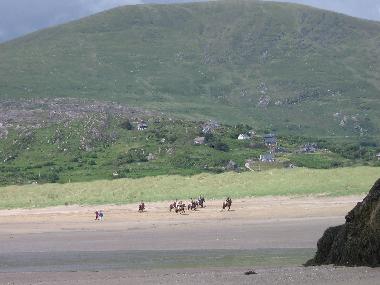Chalet in Caherdaniel (Kerry) oder Ferienwohnung oder Ferienhaus