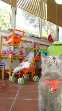 Ferienhaus in Campagnano di Roma (Roma) oder Ferienwohnung oder Ferienhaus