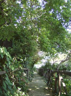 Pension in Procida (Napoli) oder Ferienwohnung oder Ferienhaus