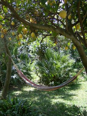 Pension in Procida (Napoli) oder Ferienwohnung oder Ferienhaus