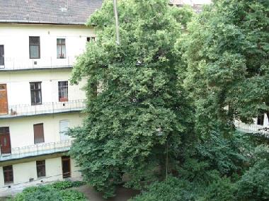 Ferienwohnung in Budapest (Budapest) oder Ferienwohnung oder Ferienhaus