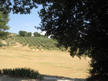 Ferienwohnung in Todi (Perugia) oder Ferienwohnung oder Ferienhaus