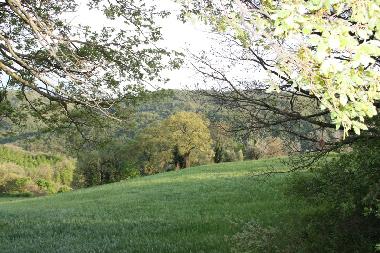 Ferienwohnung in Todi (Perugia) oder Ferienwohnung oder Ferienhaus