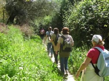 Ferienhaus in Jimera de Libar (M�laga) oder Ferienwohnung oder Ferienhaus