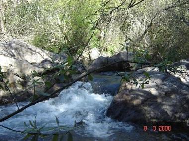 Ferienhaus in Jimera de Libar (M�laga) oder Ferienwohnung oder Ferienhaus