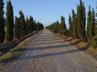 Ferienhaus in Antequera (Mlaga) oder Ferienwohnung oder Ferienhaus