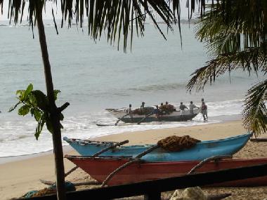 Pension in Tangalle - Sri Lanka (Galle) oder Ferienwohnung oder Ferienhaus