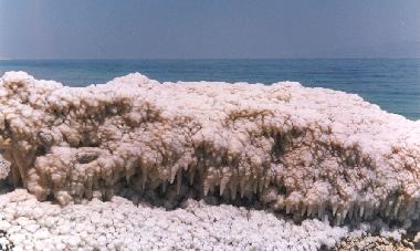 Ferienwohnung in Arad (HaDarom (Southern)) oder Ferienwohnung oder Ferienhaus