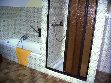 Blick auf Dusche und Badewanne.