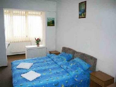 Ferienwohnung in Brasov (Brasov) oder Ferienwohnung oder Ferienhaus
