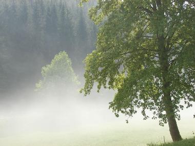 Blick von der Terrasse nach einem Gewitter