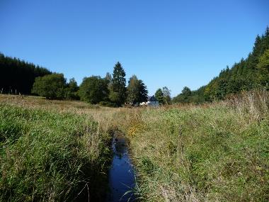 Blick auf die M�hle aus Richtung Weidenhausen
