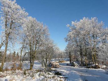 Winterwanderung in St�nzel ( 3km )