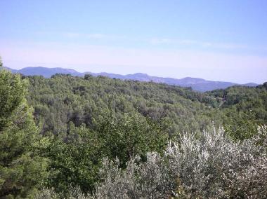 Tal Richtung massif des Maures