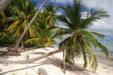 Chalet in las galeras samana (Samana) oder Ferienwohnung oder Ferienhaus