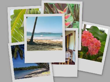 Chalet in las galeras samana (Samana) oder Ferienwohnung oder Ferienhaus