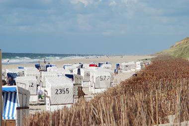 Hundestrand in Wenningstedt