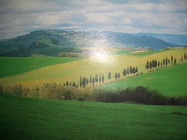 Ferienhaus in Borgo Chianti (Firenze) oder Ferienwohnung oder Ferienhaus