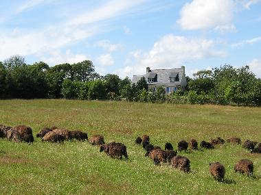 Ferienhaus in Riec sur Belon (Finist�re) oder Ferienwohnung oder Ferienhaus
