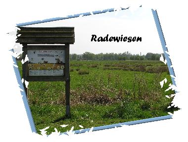 Ferienhaus in Wietzendorf (Lneburger Heide) oder Ferienwohnung oder Ferienhaus