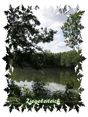 Ferienhaus in Wietzendorf (Lneburger Heide) oder Ferienwohnung oder Ferienhaus