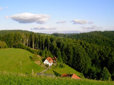Ferienwohnung in St. M�rgen (Schwarzwald) oder Ferienwohnung oder Ferienhaus