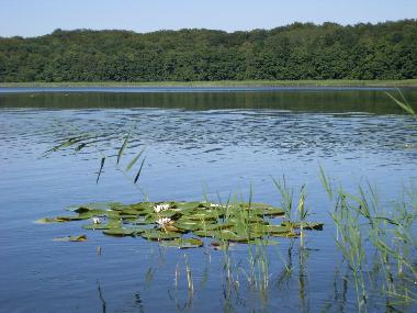 Grumsinensee 3km entfernt