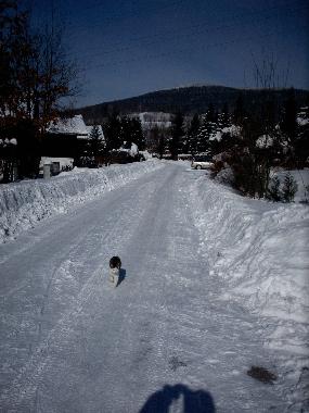 Winterimpressionen