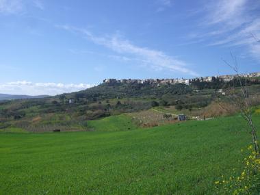 Ferienhaus in Irsina (Matera) oder Ferienwohnung oder Ferienhaus