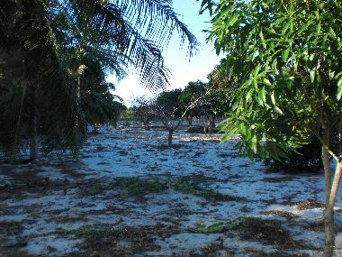 Ferienwohnung in Fortaleza (Ceara) oder Ferienwohnung oder Ferienhaus