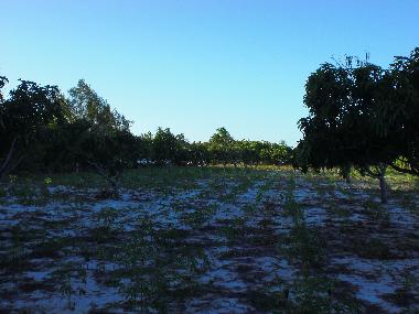 Ferienwohnung in Fortaleza (Ceara) oder Ferienwohnung oder Ferienhaus