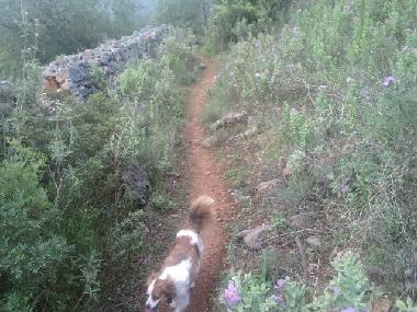 Ferienhaus in espargal (Algarve) oder Ferienwohnung oder Ferienhaus