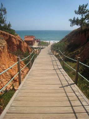 Ferienhaus in Praia da Fal�sia - Albufeira (Algarve) oder Ferienwohnung oder Ferienhaus