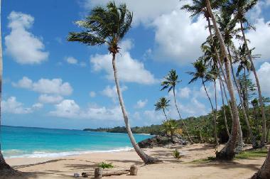 Ferienhaus in Las Galeras - Samana (Samana) oder Ferienwohnung oder Ferienhaus