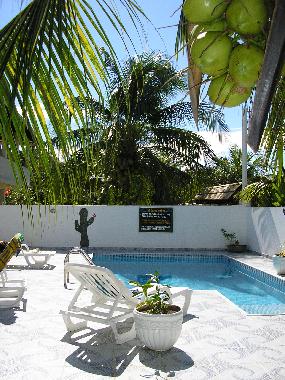 Der Pool der Villa Cactus