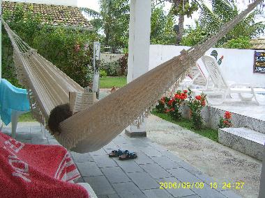 Die Terrasse   am Pool