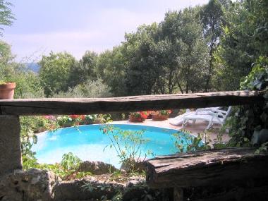 Ferienhaus in Elmo di Sorano (Grosseto) oder Ferienwohnung oder Ferienhaus