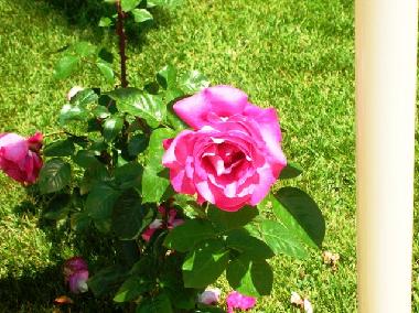 Ferienhaus in Pisano (Catania) oder Ferienwohnung oder Ferienhaus