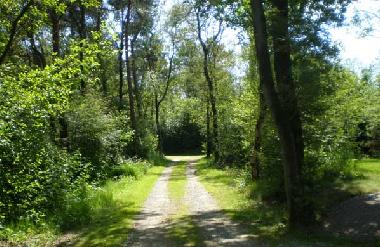 Ferienhaus in Ruinen (Drenthe) oder Ferienwohnung oder Ferienhaus