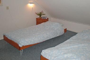 Ferienhaus in Ruinen (Drenthe) oder Ferienwohnung oder Ferienhaus