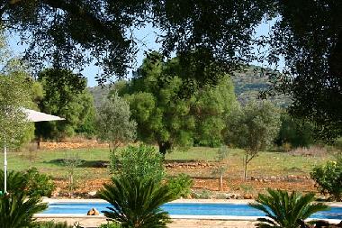 Ferienhaus in Arta (Mallorca) oder Ferienwohnung oder Ferienhaus