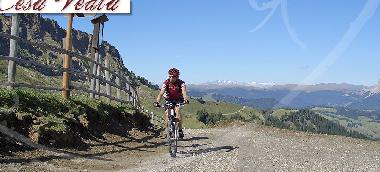 Radtouren im Sommer