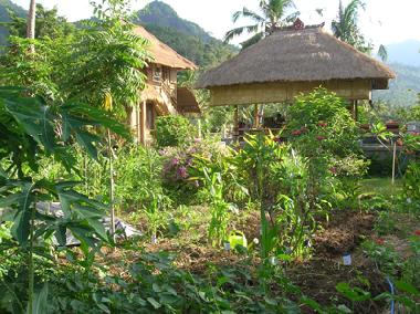 Ferienhaus in Manuksesa (Bali) oder Ferienwohnung oder Ferienhaus