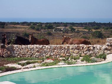Ferienwohnung in Modica (Ragusa) oder Ferienwohnung oder Ferienhaus